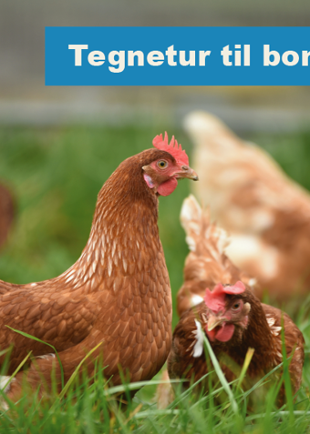 Dyretegning på bondegård - Klik for at tilmelde dig