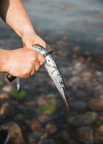 Fisketur til Poppelsøen, januar 2026 - Klik for at tilmelde dig