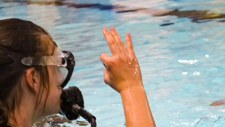 Dykning - begyndere - Klik for at tilmelde dig